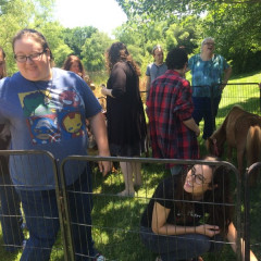 Photo 3 from Jun 27, 2019 event with Masters Petting Zoo