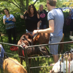 Photo 1 from Jun 27, 2019 event with Masters Petting Zoo
