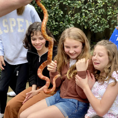 Photo 1 from Apr 1, 2022 event with Reptile Man