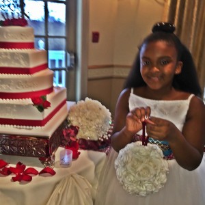Distinctive Visions Event Management - Event Planner / Wedding Planner in White Plains, New York